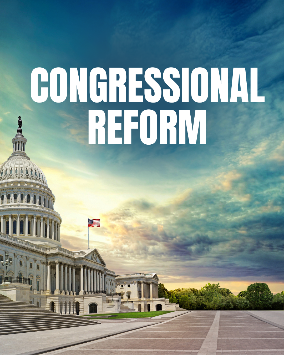 Congressional Reform