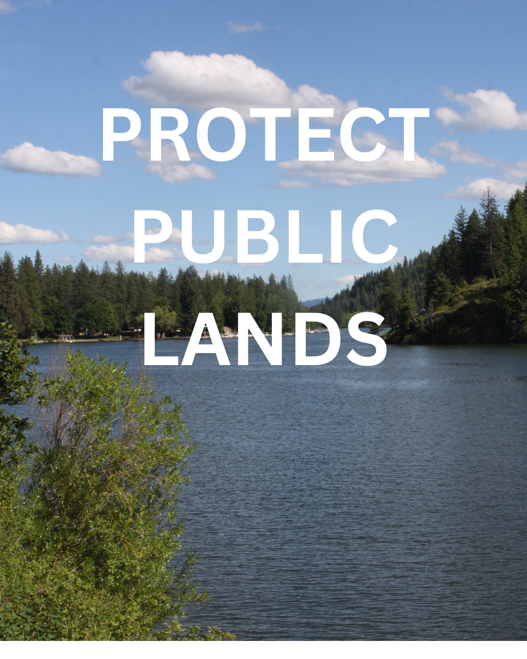 PROTECT PUBLIC LANDS